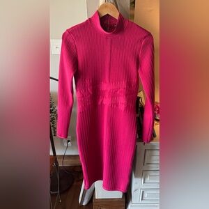 Hot pink long sleeve Venus dress